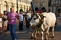 S. Giovanni 2010 - Corteo Storico_036